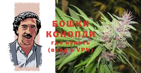 бошки Аркадак