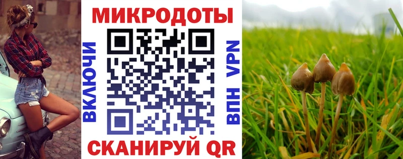 kraken онион  Армянск  Псилоцибиновые грибы Psilocybe 
